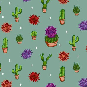 Colorful Cacti and Desert Plants