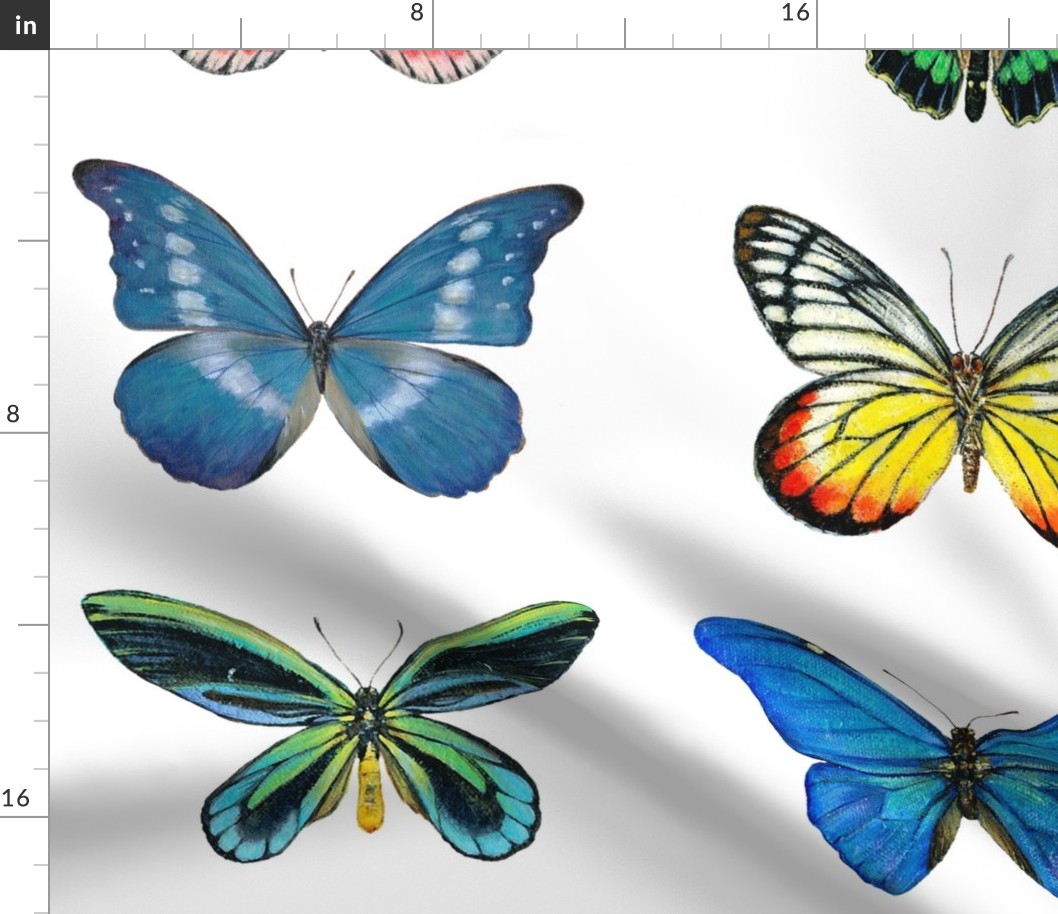 Large Butterflies Wallpaper