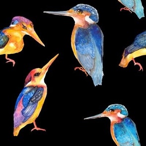 watercolor kingfisher birds on black