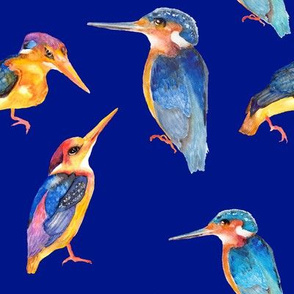 watercolor kingfisher birds on deep blue