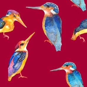 watercolor kingfisher birds on deep red