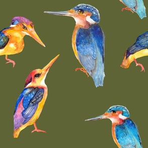 watercolor kingfisher birds on khaki