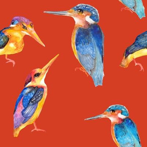 watercolor kingfisher birds on orange brick
