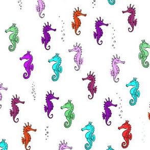 seaHorse Silhouette and contours on white