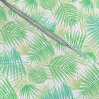 palm leaves