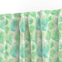 palm leaves