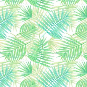 palm leaves