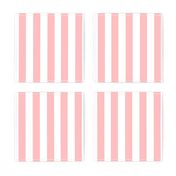 Cabana Stripes in Peachy Pink