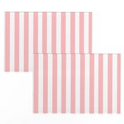 Cabana Stripes in Peachy Pink