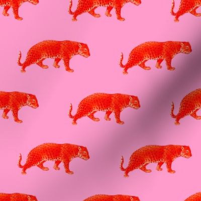 Vintage Cheetahs in Coral + Pink