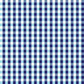 Prairie Patch Gingham