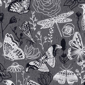  Dragonflies, Butterflies And Moths In  Black And White - Big