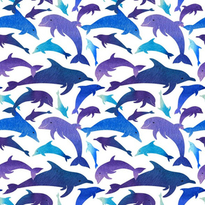 Dolphins