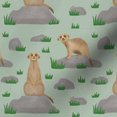 Meerkat friends (soft green)