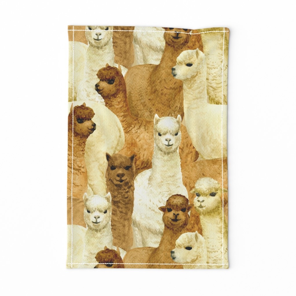 alpacas (large scale)