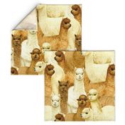 alpacas (large scale)