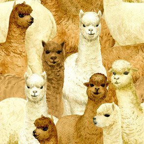alpacas (large scale)