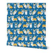 Charming corgis // small scale // blue background yellow dogs