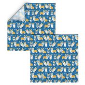 Charming corgis // small scale // blue background yellow dogs