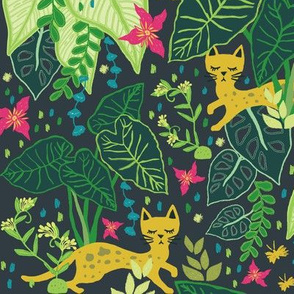Little Cats in a Big Jungle