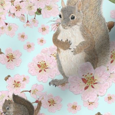 Squirrels Among the Cherry Blossoms