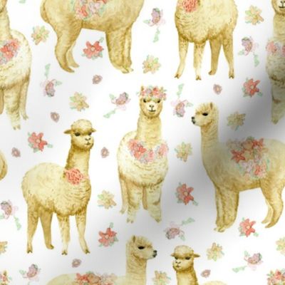 white alpacas and pink flowers