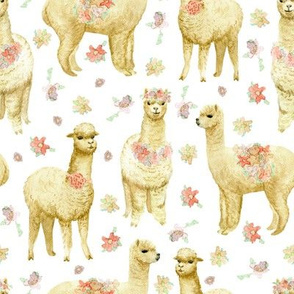 white alpacas and pink flowers