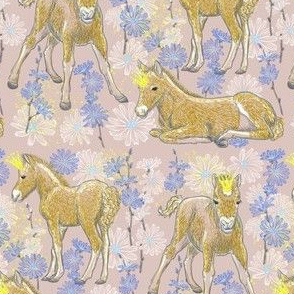 The Foal Royalty (beige)