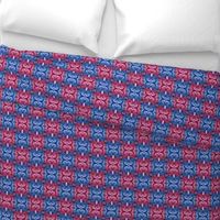 Red & Blue Checkered Spirals