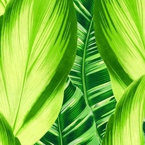 Retro Tropical Leaves in Green