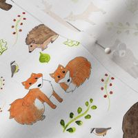 Woodland Animals