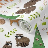 Woodland Animals