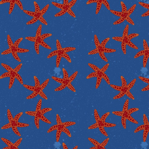 Dance of the starfishes