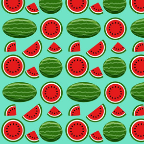 watermelon turquoise 8x8