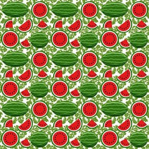 watermelon and vines 6x6
