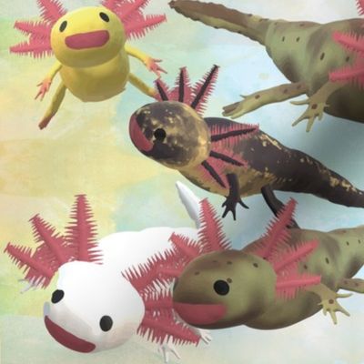 Axolotl