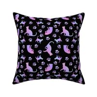 Cats Purple blk