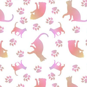 Cats pink white