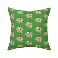 Santa Hippo Green Background 3"