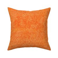 Pumpkin speckle texture