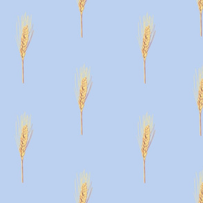 Golden Wheat