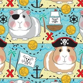 pirate guinea pigs