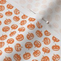 (micro scale) Jack-o'-lantern-  pumpkins - halloween 