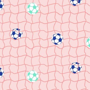 Soccer/Football Net