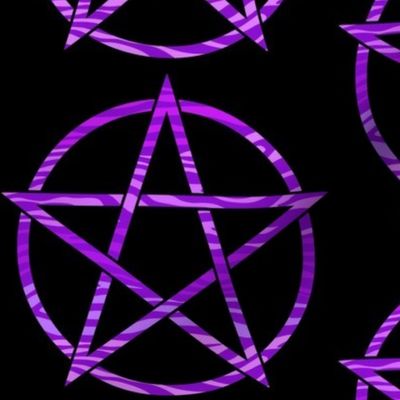 Purple Zebra Pentagram