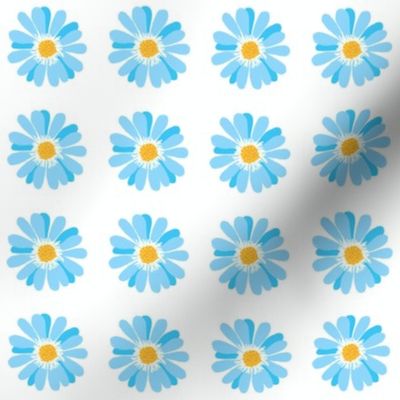 Blue daisy-medium