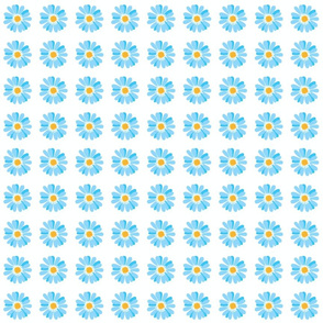 Blue daisy-medium