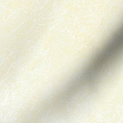 Creamy Wall Texture 