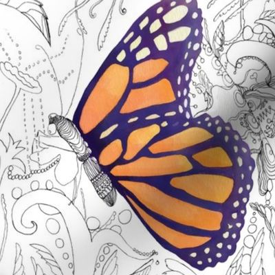 butterfly_inspiration