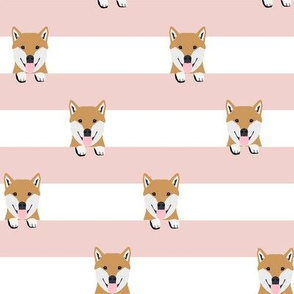 shiba inu stripes dog breed pet fabric pink